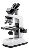 Microscope